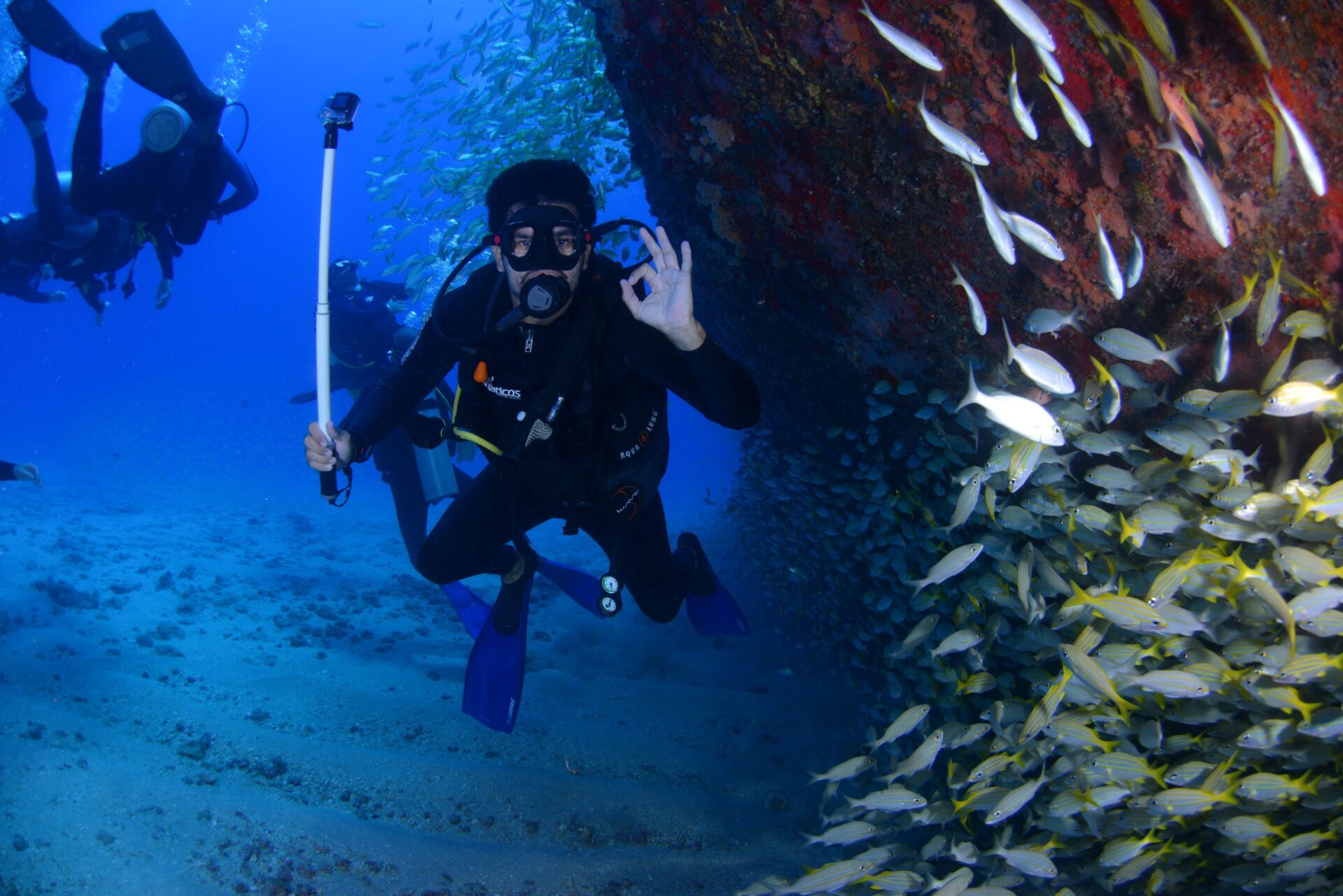 Experience Scuba Diving Adventure