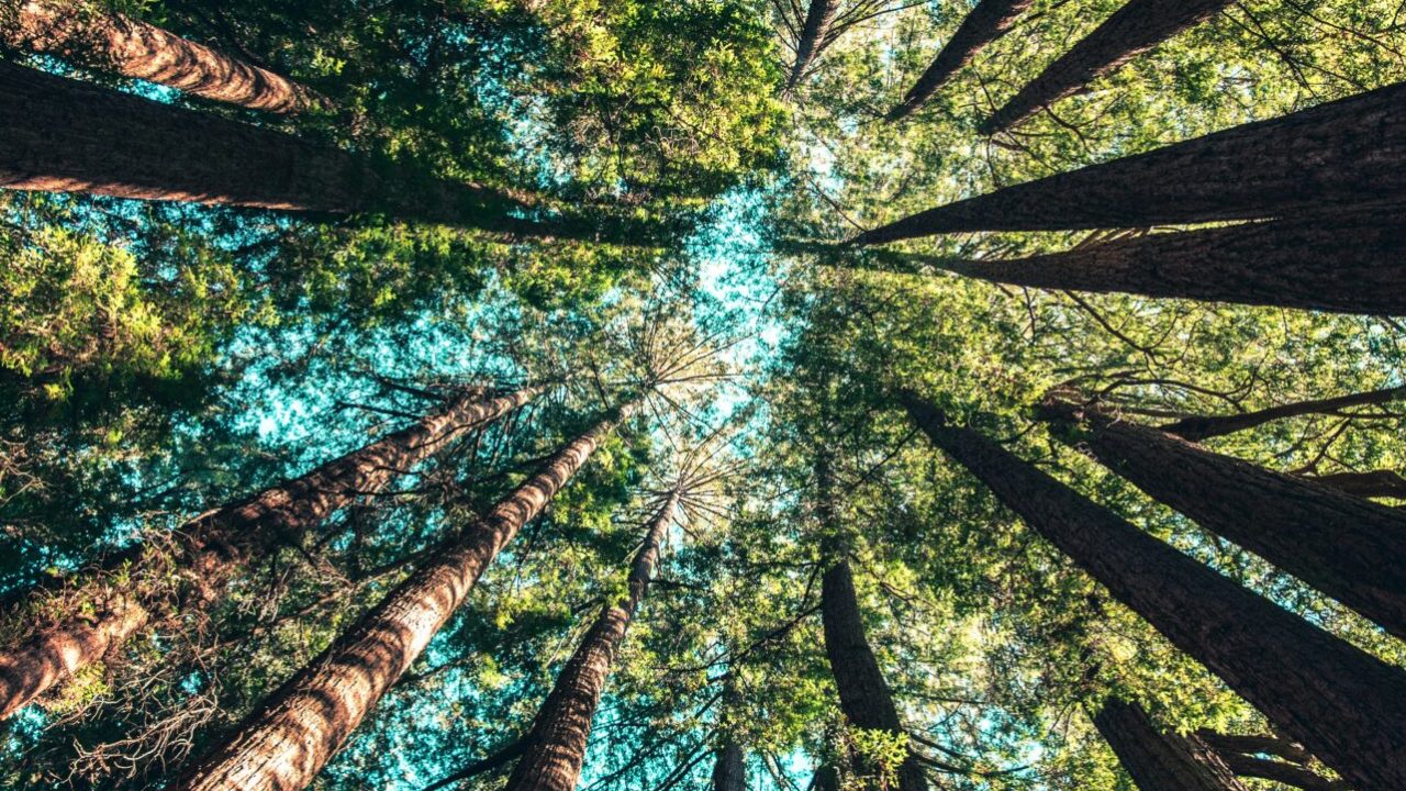 casey-horner-4rDCa5hBlCs-unsplash
